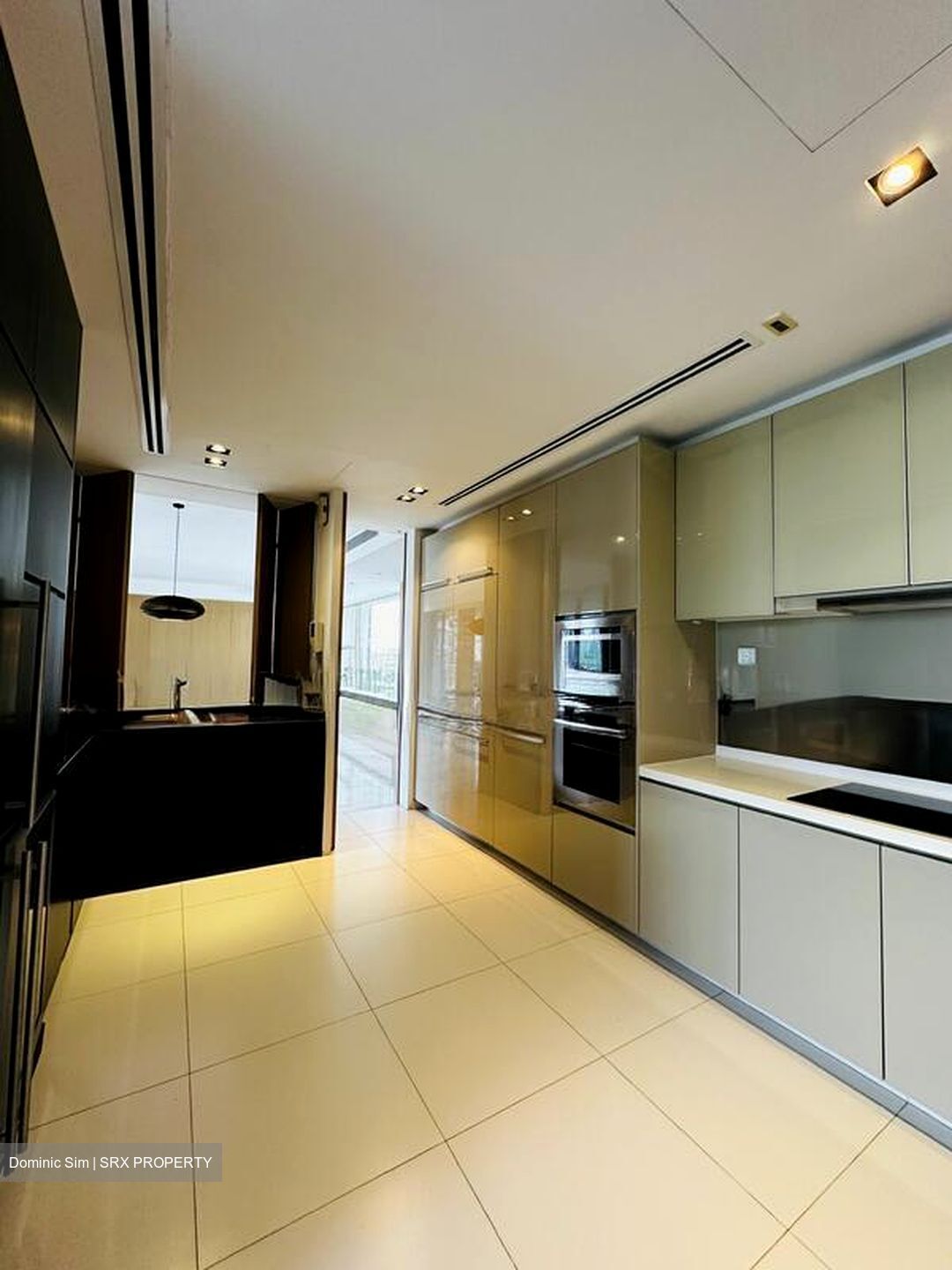 Sky@Eleven (D11), Condominium #520024981